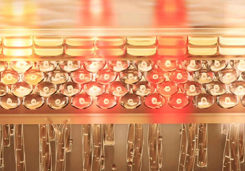 Led light therapy full body mat boosts daily wellness fast